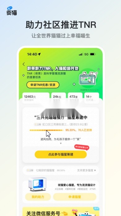 街猫免费原版图4