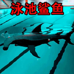 恐怖游泳池安卓直装版
