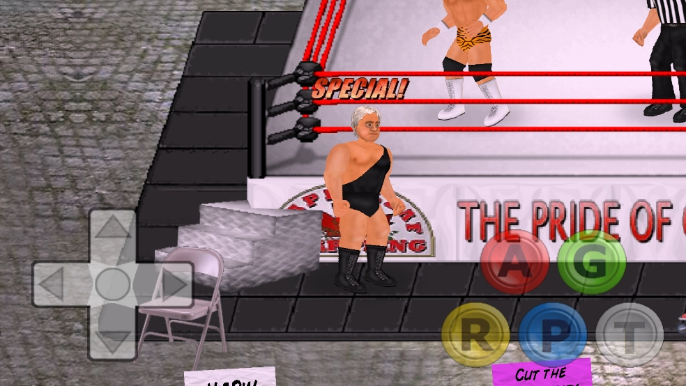 WrestlingRevolution摔角革命3D汉化版图1