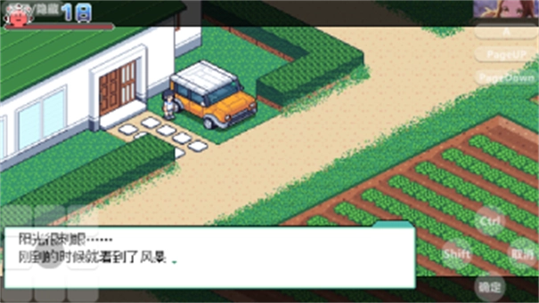 寻找夏日的宝物图3