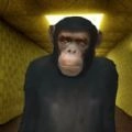 Gmod躲猫猫追逐手机版