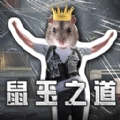 鼠鼠模拟器2免费版