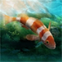 水族馆设计师通用版
