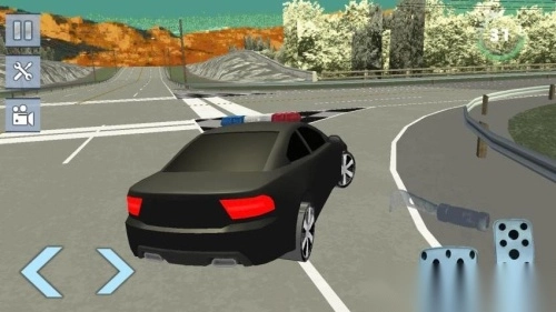 真实警车追逐官方正版图2