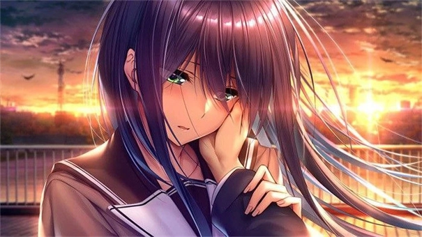 甜蜜女友2无广告版图3