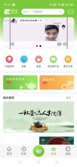 茯庄图3