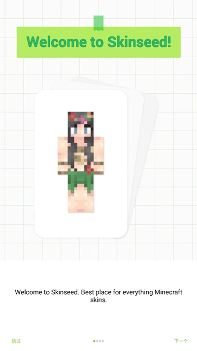 Skinseed正版图1