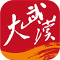 大武汉官方最新版