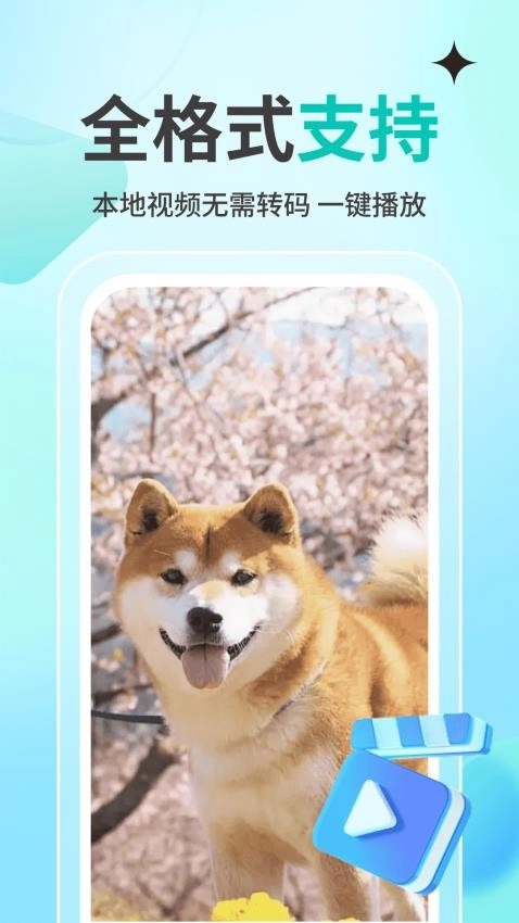 私人观影播放器player手机版图2
