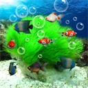 水族馆动态壁纸桌面屏保官方最新版