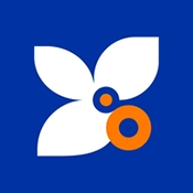 夏越云课堂