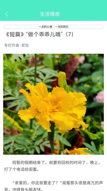 天天日历安卓官方版图4