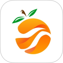 南果视频正版
