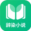 辞染小说最新免费版