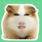 猪妞语音盒免费