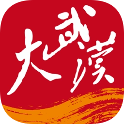 大武汉手机最新版