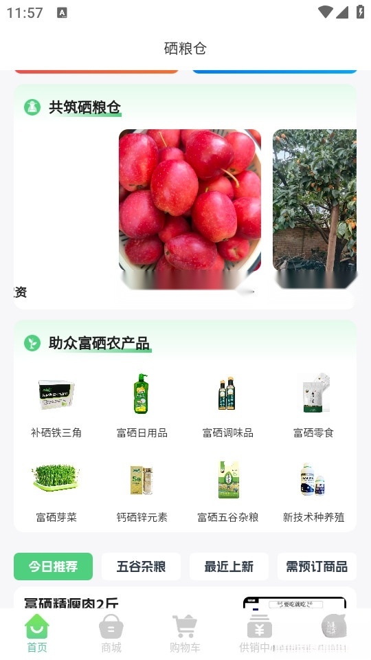 硒粮仓通用版图1