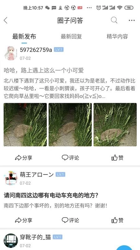北京像素手机正版图2