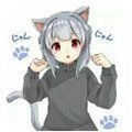 冷狐宝盒2026手机免费版