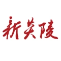 新炎陵正版