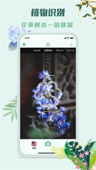 识花君植物识别免费版图4