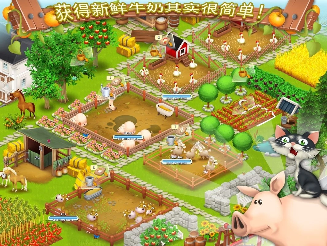 疯狂农场3俄罗斯经营44图2