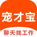 宠才宝安卓版