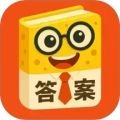 答案来了安卓直装版
