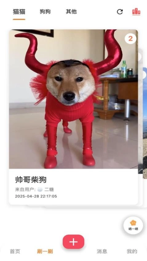 爪爪巴士直装版图3