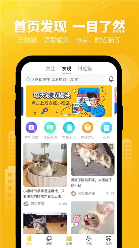 友猫图4