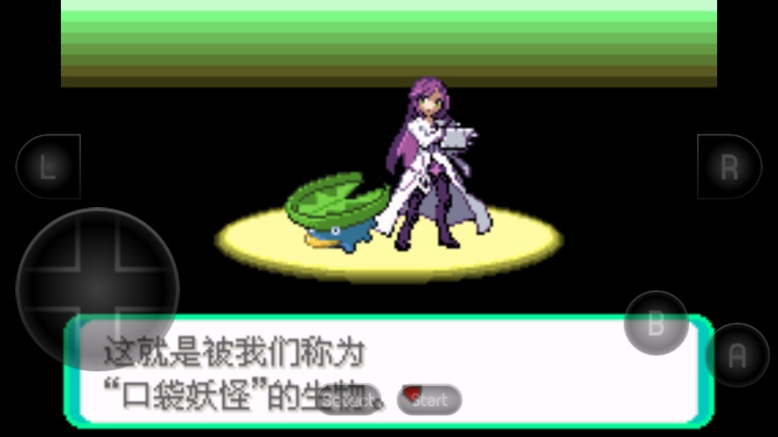 口袋妖怪黑琥珀安卓官方版图3