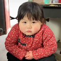 合成杨金刚游戏正版