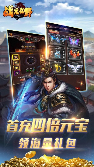 战龙在野BT无广告版图3