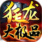 狂龙大极品5三职业