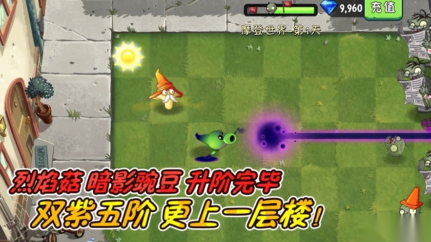 植物大战僵尸2游戏无广告版图3