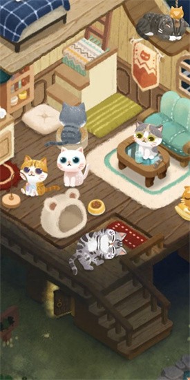 猫咪的秘密森林安卓版图3